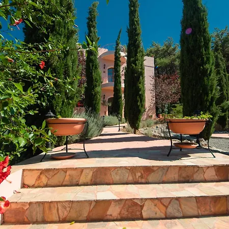 Vila Butterfly Garden