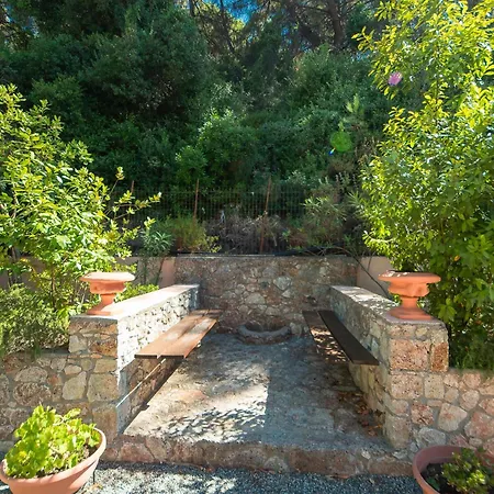 Butterfly Garden