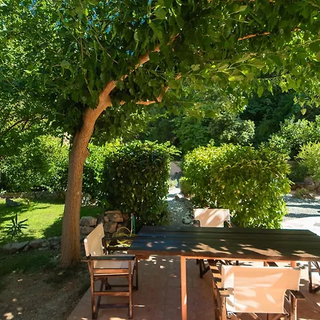 Butterfly Garden * 파스티다