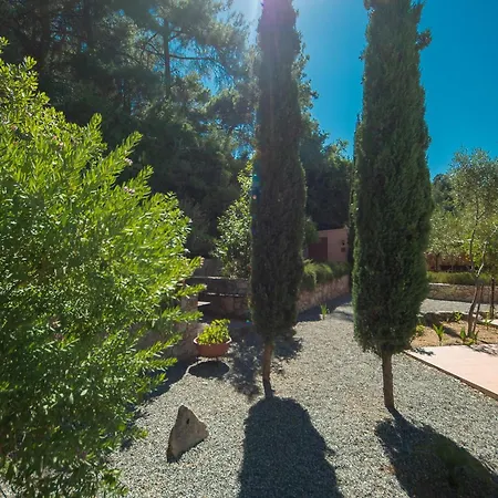 Butterfly Garden Pastida